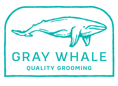 Gray Whale